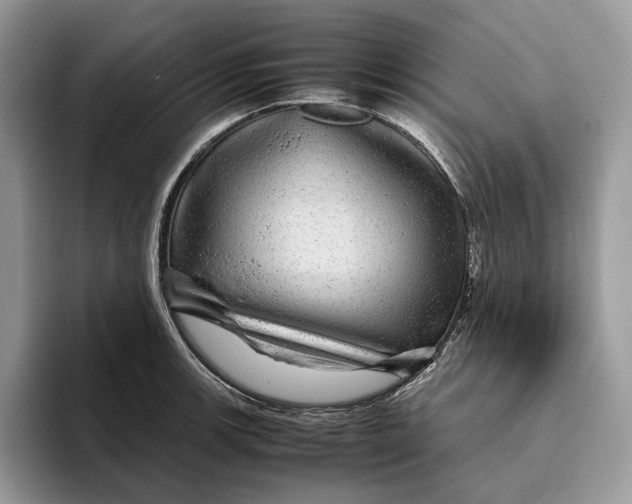 X0000095941139200802011036