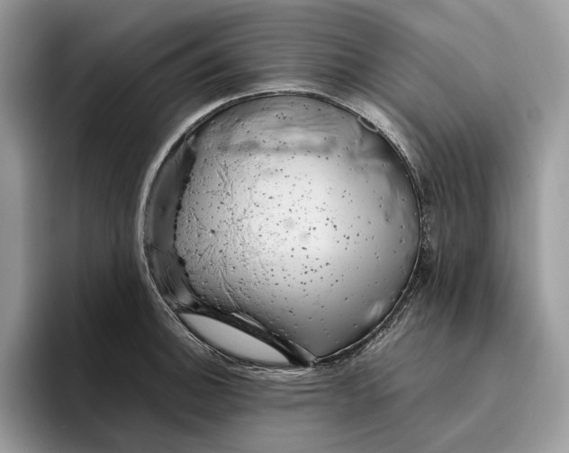 X0000095941140200802011036