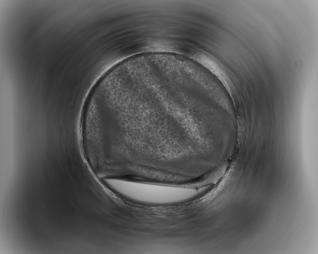 X0000095941141200802011036