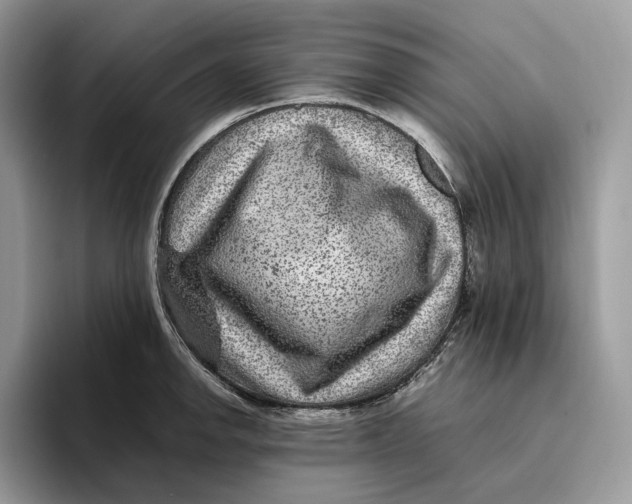 X0000095941142200802011036