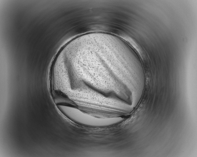 X0000095941143200802011036