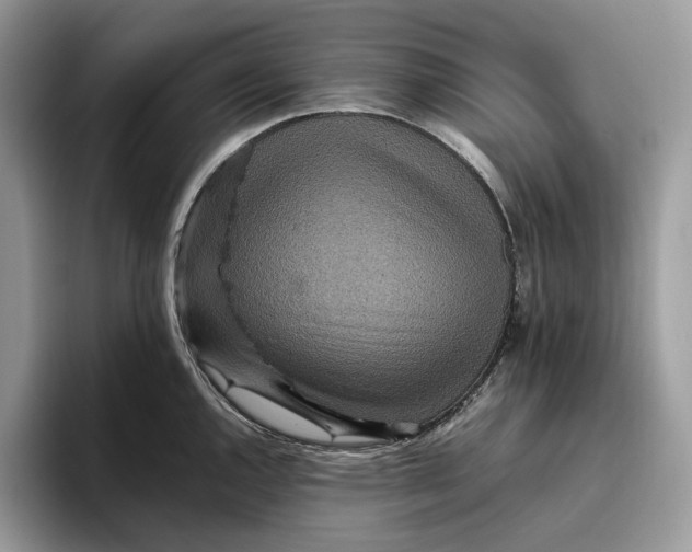 X0000095941144200802011036