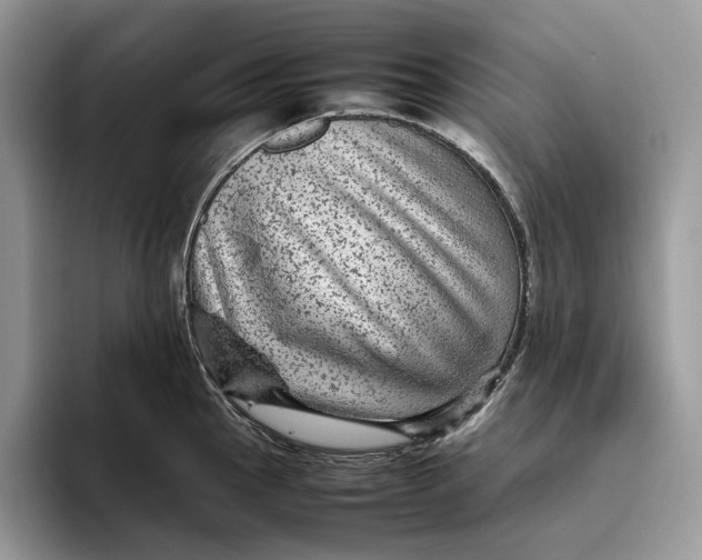 X0000095941145200802011036