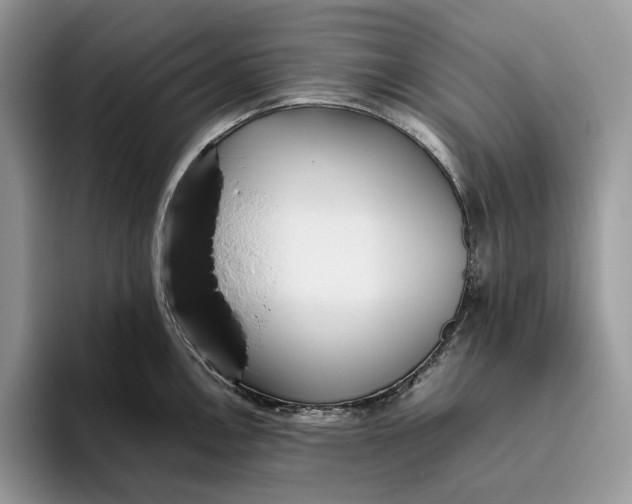 X0000095941146200802011036