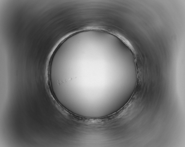 X0000095941148200802011036