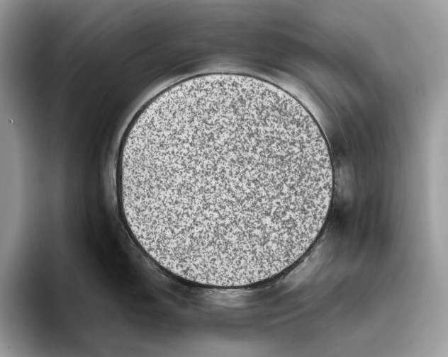 X0000095941150200802011036