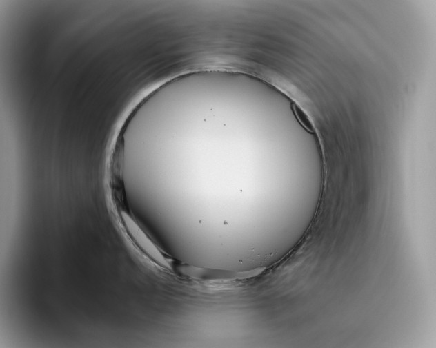 X0000095941152200802011036