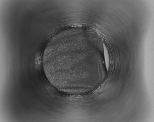 X0000095941154200802011035