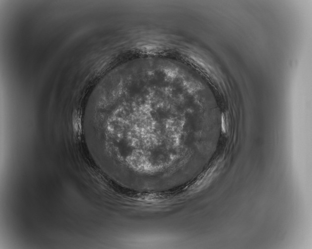 X0000095941155200802011035