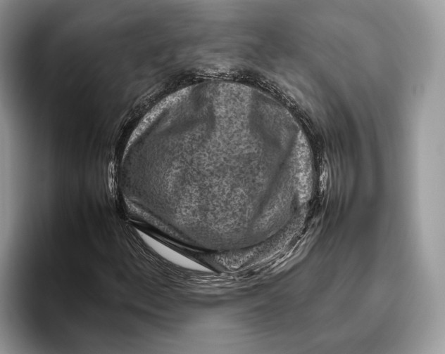 X0000095941156200802011035