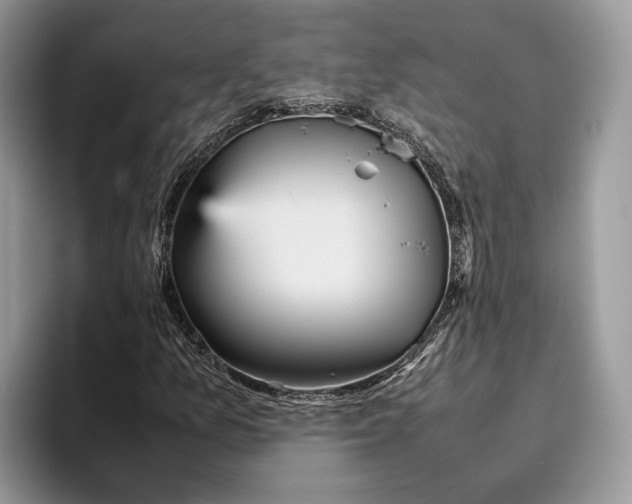 X0000095941157200802011035