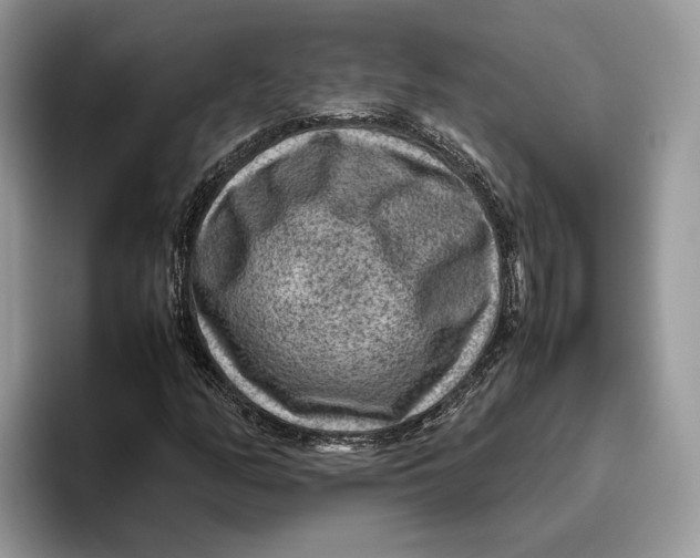 X0000095941158200802011035