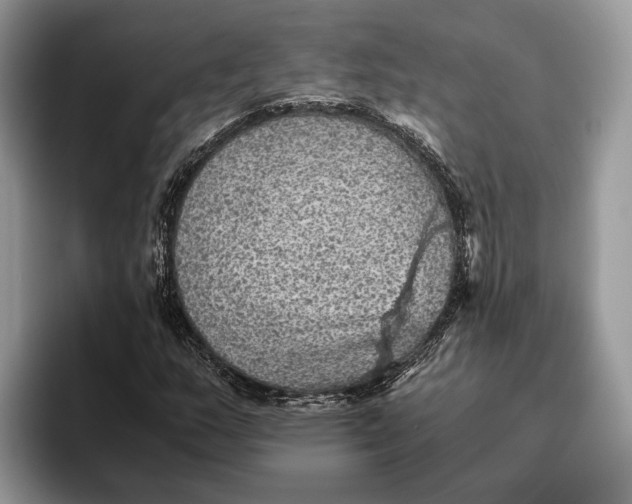 X0000095941159200802011035