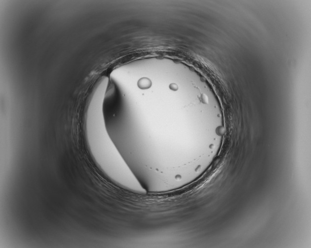 X0000095941161200802011035