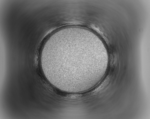 X0000095941163200802011035