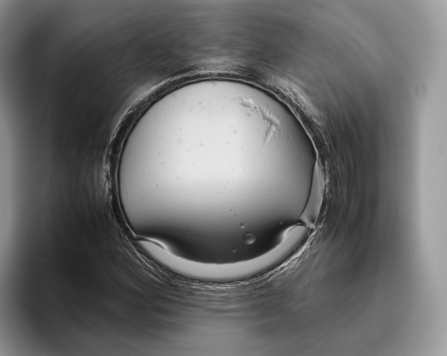 X0000095941164200802011035