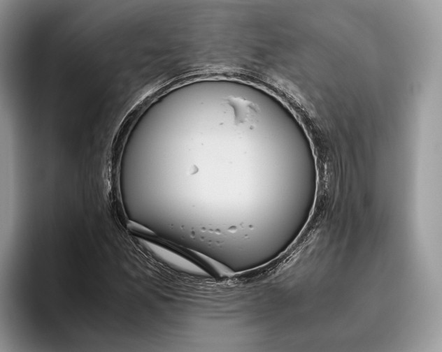 X0000095941165200802011035