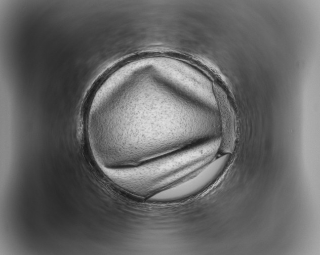 X0000095941167200802011035