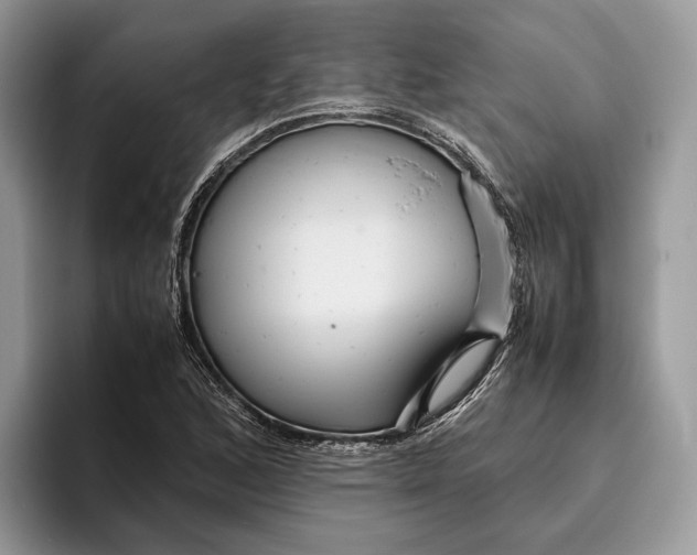 X0000095941168200802011035