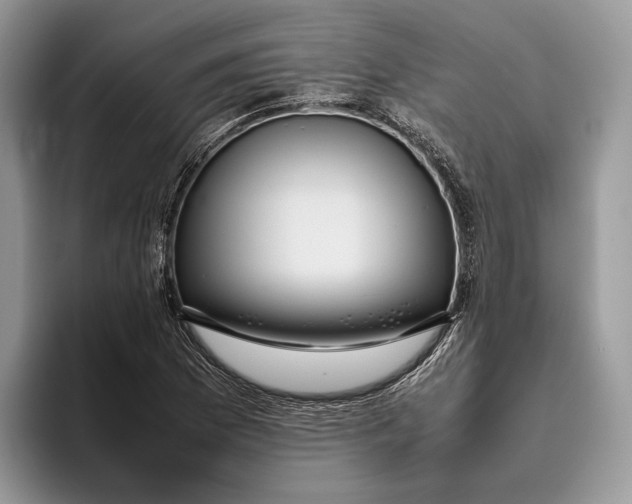 X0000095941169200802011035