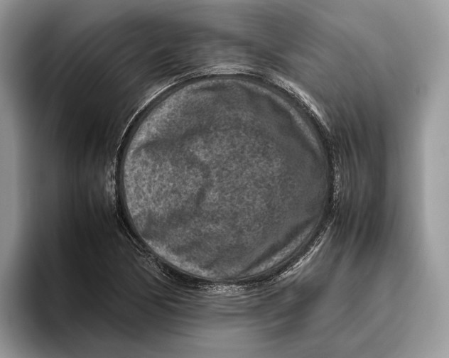 X0000095941170200802011035