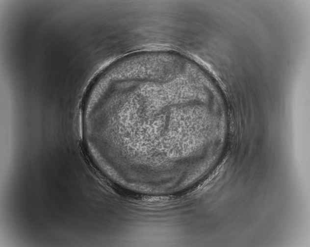 X0000095941171200802011035