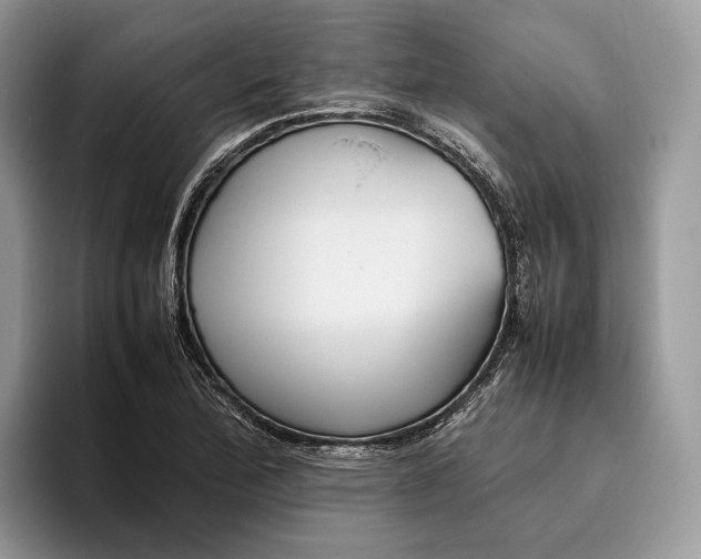 X0000095941172200802011035