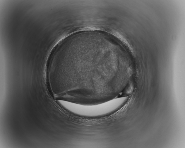 X0000095941173200802011035