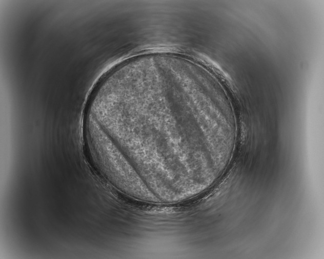 X0000095941174200802011035