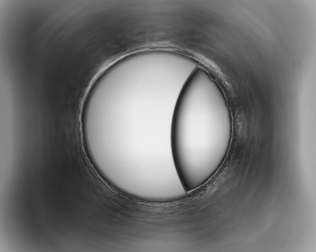 X0000095941176200802011035