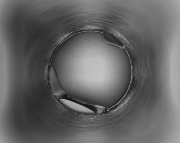 X0000095941177200802011035