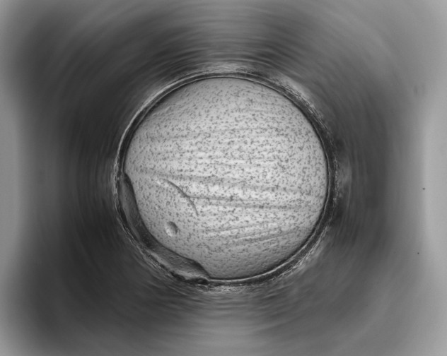 X0000095941178200802011035