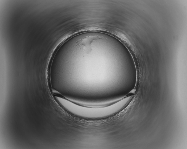 X0000095941181200802011035