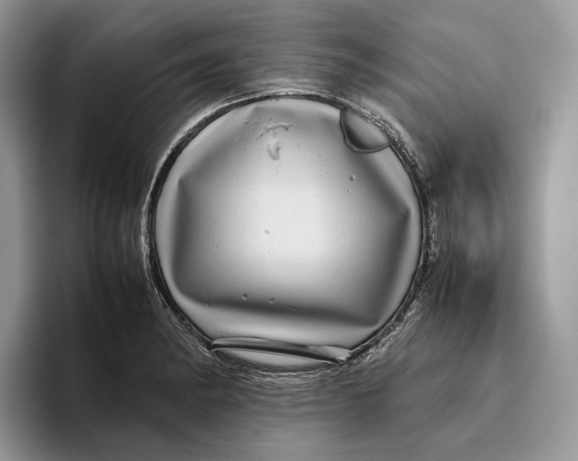 X0000095941182200802011035