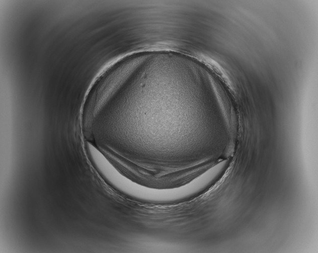 X0000095941184200802011035