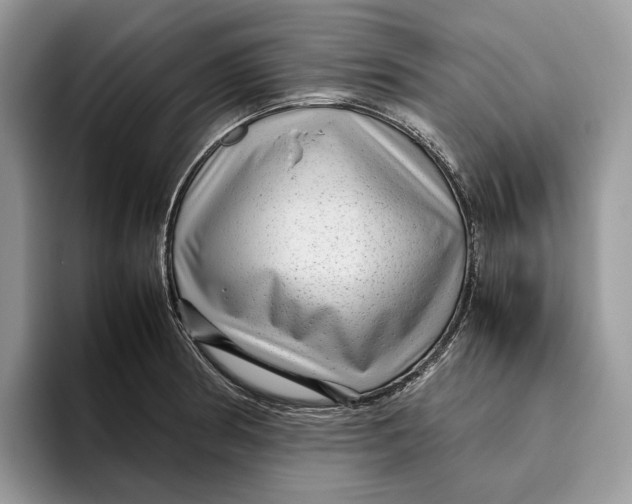 X0000095941186200802011035