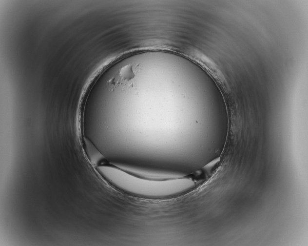 X0000095941188200802011035