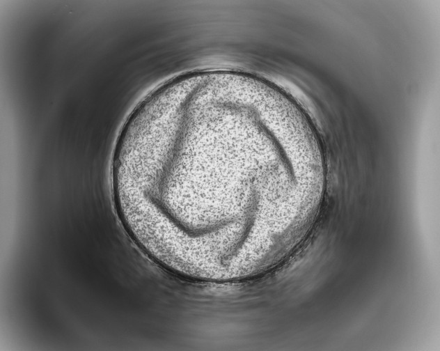 X0000095941191200802011035