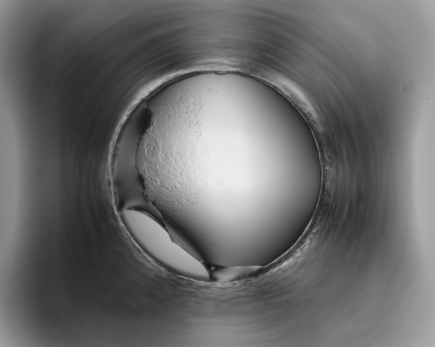 X0000095941192200802011035