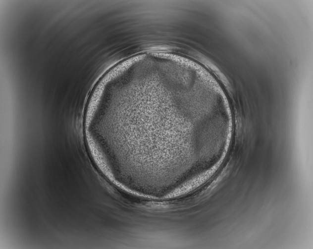 X0000095941194200802011035