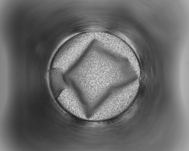 X0000095941195200802011035