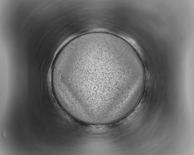 X0000095941198200802011035