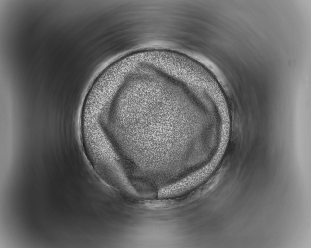 X0000095941199200802011035