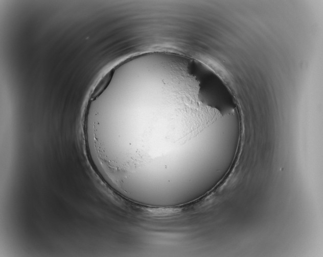 X0000095941200200802011035