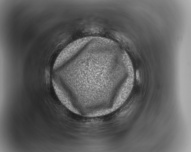 X0000095941203200802011034