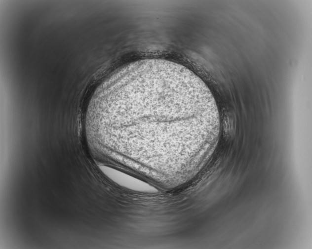 X0000095941204200802011034