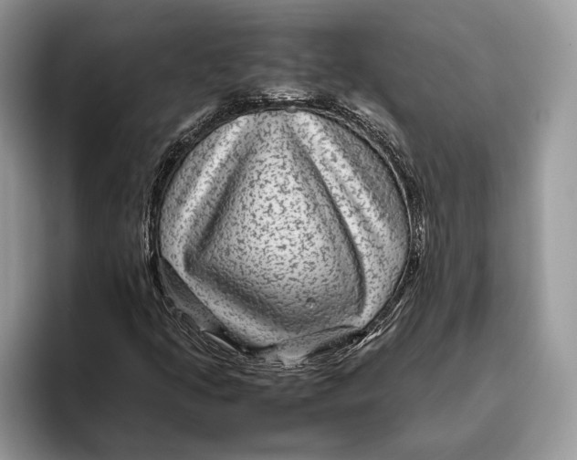 X0000095941205200802011034