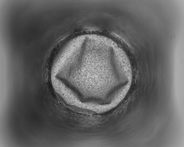 X0000095941207200802011034