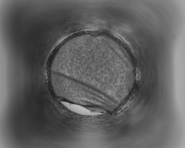 X0000095941208200802011034