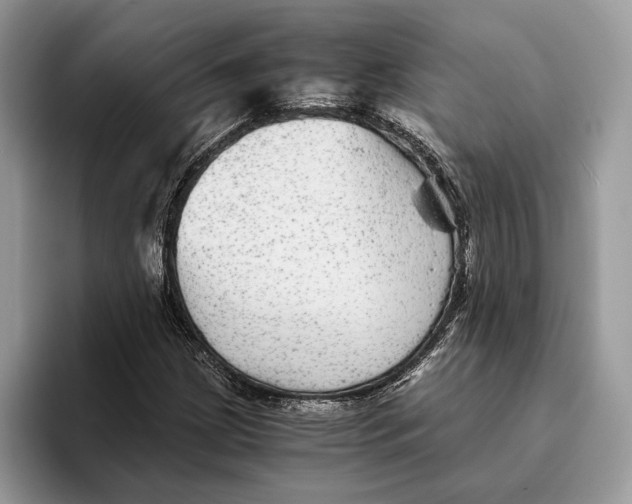 X0000095941209200802011034